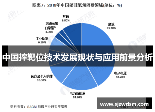 中国摔靶位技术发展现状与应用前景分析