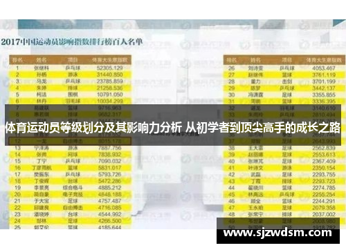 体育运动员等级划分及其影响力分析 从初学者到顶尖高手的成长之路