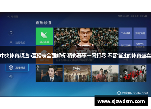 中央体育频道5直播表全面解析 精彩赛事一网打尽 不容错过的体育盛宴
