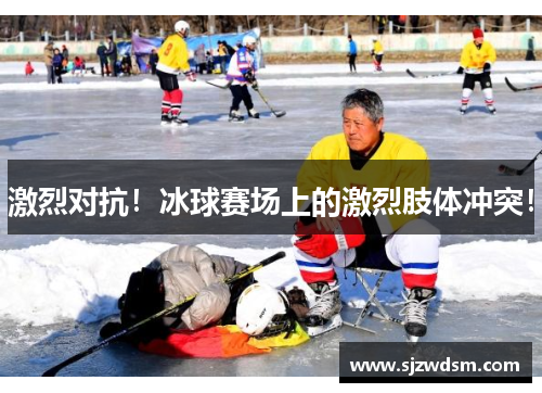 激烈对抗！冰球赛场上的激烈肢体冲突！