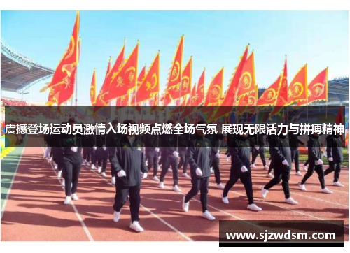 震撼登场运动员激情入场视频点燃全场气氛 展现无限活力与拼搏精神